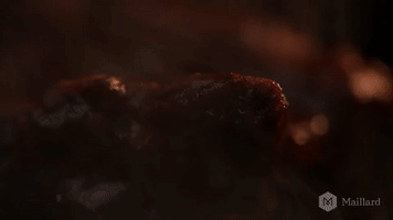 Ribs Cotes Levees GIF