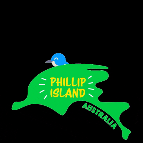 Australia GIF by Visit Phillip Island