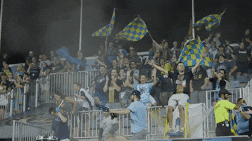 flags sons of ben GIF by Philadelphia Union