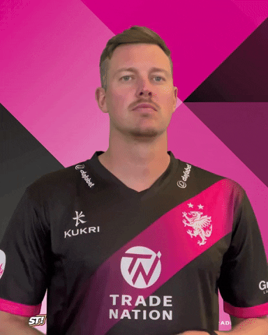 Ball T20 GIF by Somerset County Cricket Club