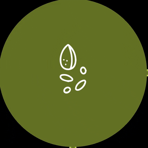 Longevite Natural GIF