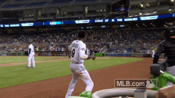 miami marlins excitement GIF by MLB