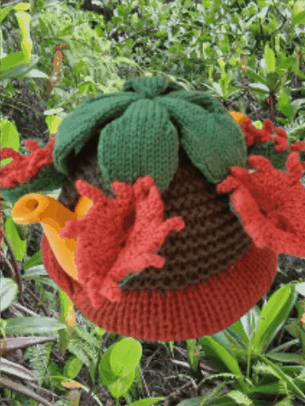 Plant Life Fly GIF by TeaCosyFolk