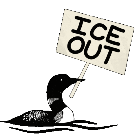 Minnesota Loon Sticker by Amanda Black