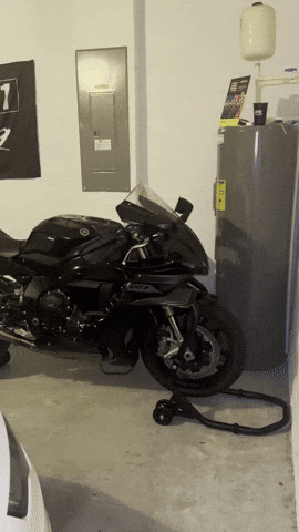 2025 GIF