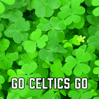 Boston Celtics Sport GIF by Sealed With A GIF