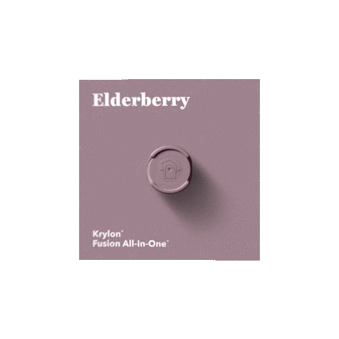 Spray Paint Elderberry Sticker by Krylon Brand