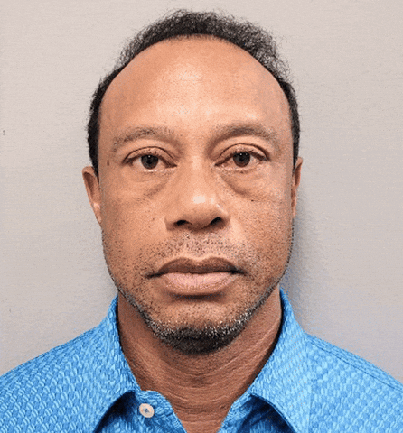Drunk Tiger Woods GIF