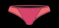 pantiesperiod blood period underwear panties GIF