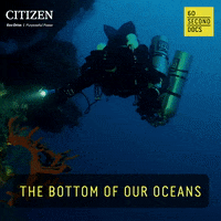 Deep Sea Ocean GIF by 60 Second Docs
