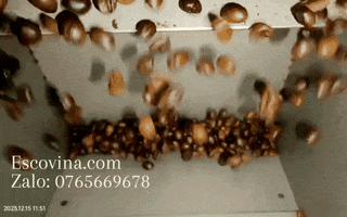 Coffee GIF