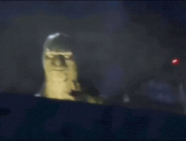 Angry Face GIF