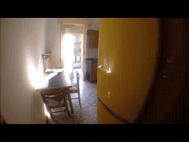 lucaallegrone  GIF