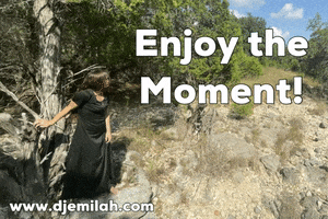 Enjoy The Moment Be Happy GIF by Djemilah Birnie