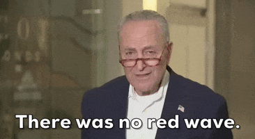 Election Results Midterms GIF by GIPHY News