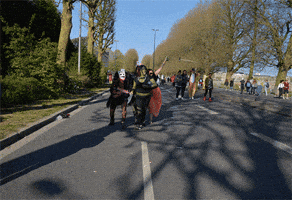 Carnaval GIF