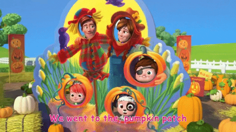 Pumpkin-patches GIFs - Get the best GIF on GIPHY