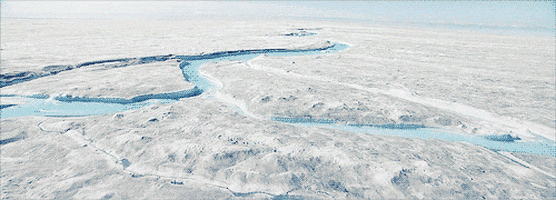 Ice Sheets GIFs - Get the best GIF on GIPHY