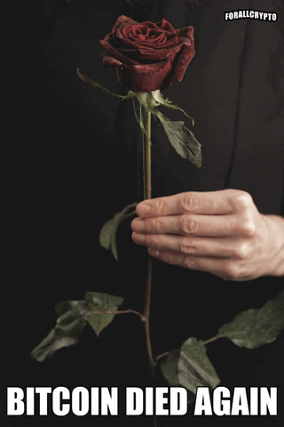 Rose Funeral GIF by Forallcrypto