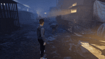 Dog GIF