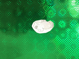 200.gif?cid=fc005b0888a0007bf546397d00b7443e04d7b430c5a07477&rid=200.gif&ct=g