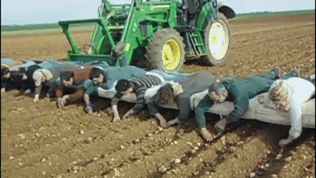 Russian Farming GIFs - Get the best GIF on GIPHY