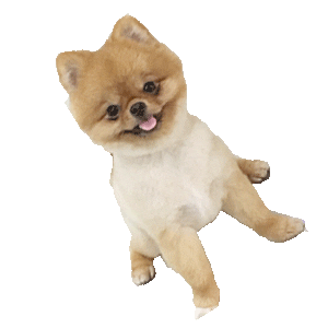 Sticker by Barking Well