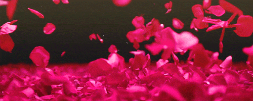 pink flowers GIF
