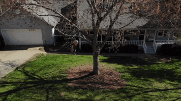 House Spring GIF by JC Property Professionals