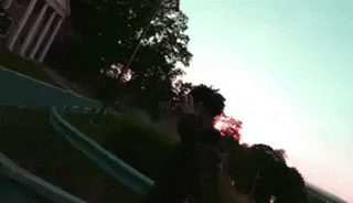 Molly Floyd GIF