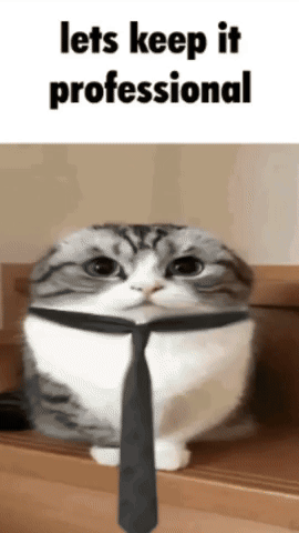 Cat GIF