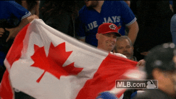 canadian flag fan GIF by MLB
