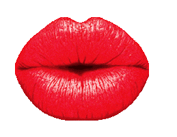 Kamile Sticker by Camille Beaute