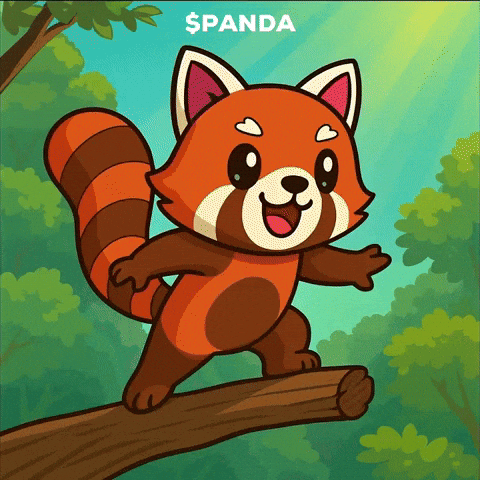 Happy Red Panda GIF by PandaMania