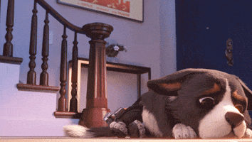 Murphy Croissant GIF by Overwatch