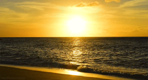 Beach Sunrise GIFs - Get the best GIF on GIPHY
