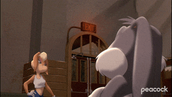 Looney Tunes Squad GIF by PeacockTV