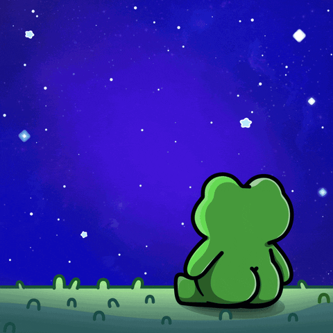 Good Night Star GIF by Froggy Friends