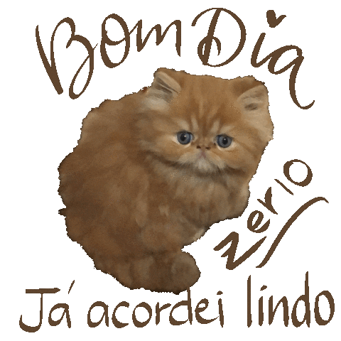 Bom Dia Nota Sticker for iOS & Android | GIPHY