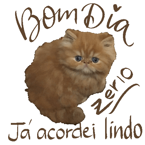 Bom Dia Nota Sticker for iOS & Android | GIPHY Bom Dia Nota Sticker for iOS & Android | GIPHY