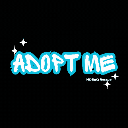Adopt Take Me Home GIF by HDBnQ Rescue