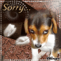 sorry dog gif