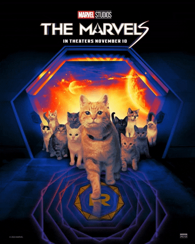Captain Marvel Cat GIF by Regal