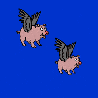 animated flying pig