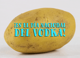 Vodka Arriba GIF by Sealed With A GIF