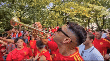World Cup Football GIF