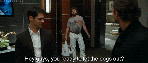 Alan Hangover GIFs - Get the best GIF on GIPHY