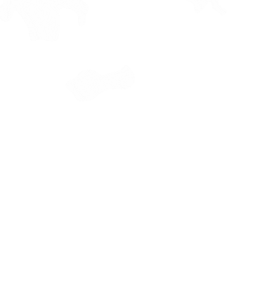 Ekonomicko-správní fakulta MU Sticker