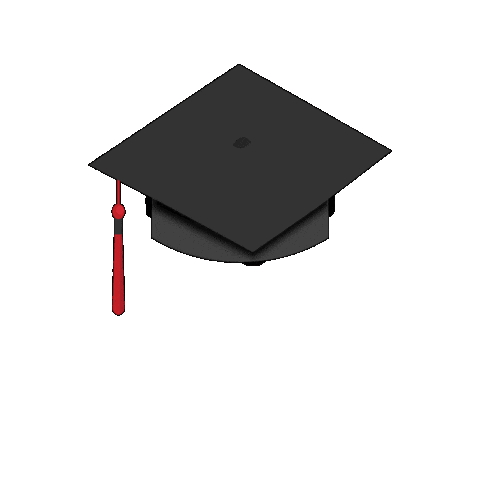 Classof2025 Radforduniversity Sticker by RadfordU