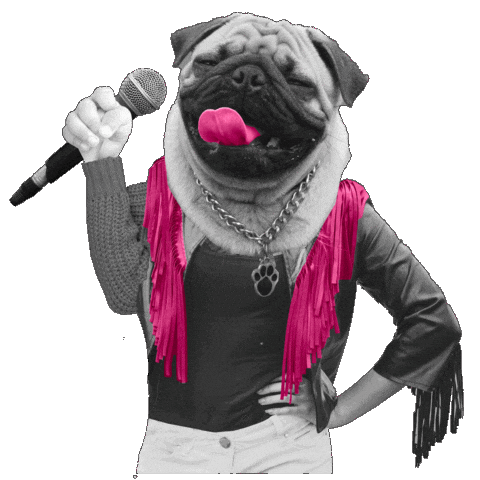 Comedy Pug Sticker by EdinburghFringeFestival